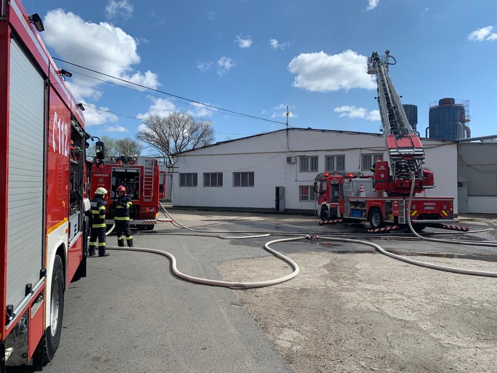 Incendiu La O Hal Pe Calea Baciului Mp Din Acoperi Au Ars Foto