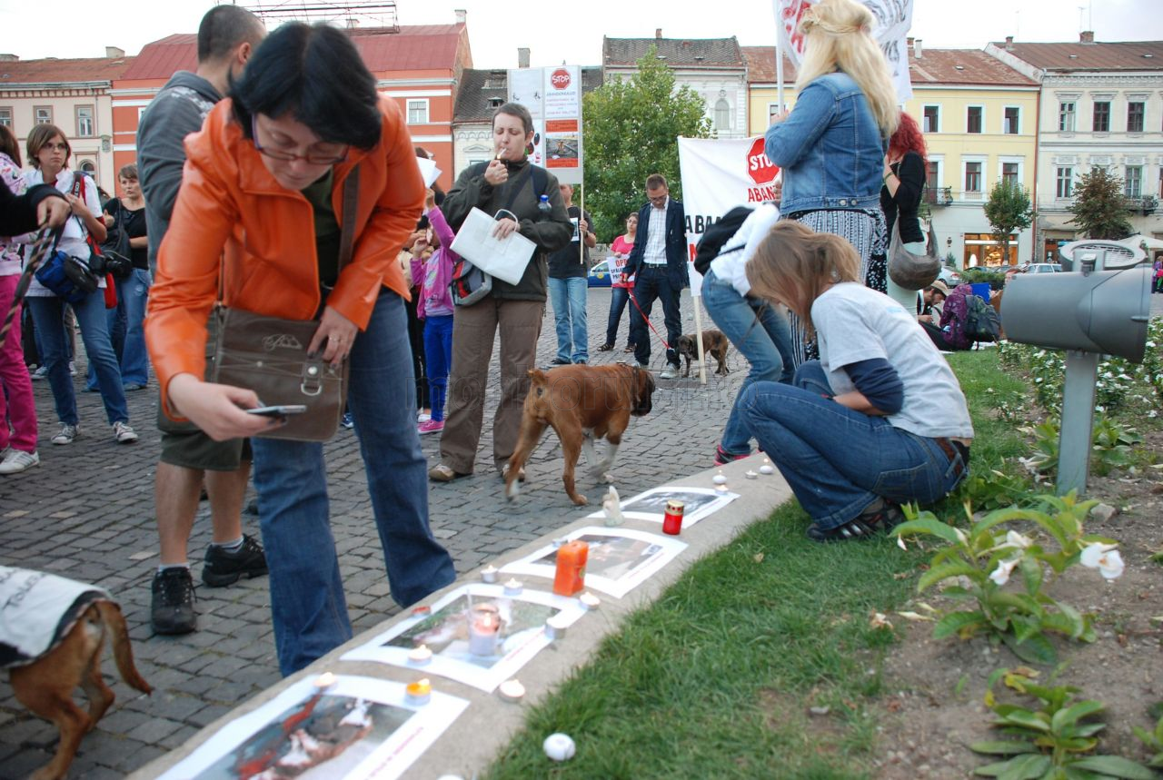 Peste 200 de clujeni care se opun eutanasierii câinilor au protestat în Piaţa Unirii