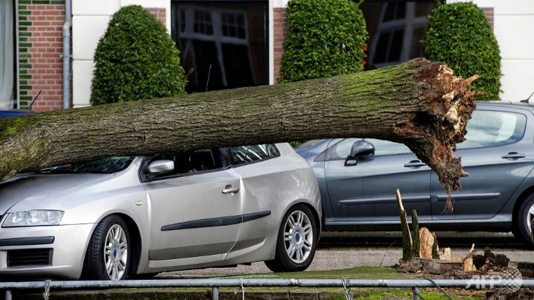 Furtuna puternică din nordul Europei provoacă primele victime în Olanda şi Marea Britanie