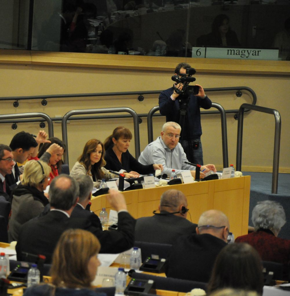 Europarlamentarul Monica Macovei, în şedinţa Comisiei LIBE