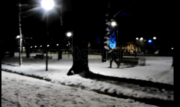 VIDEO: Schi pe aleile din Parcul Mare din Cluj-Napoca