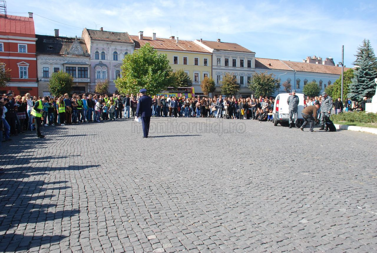 Demonstratie caini Vama Cluj