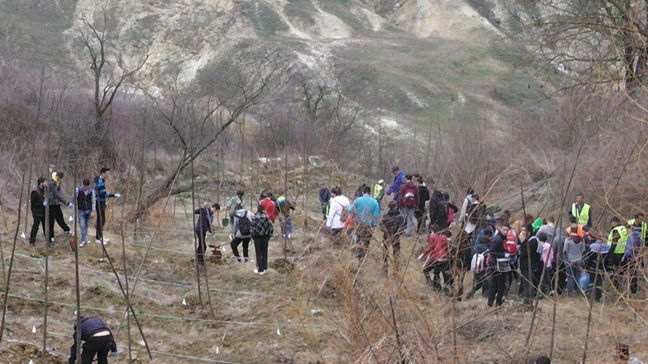 500 de copaci plantaţi de elevii din Turda pe un teren cu risc de alunecare