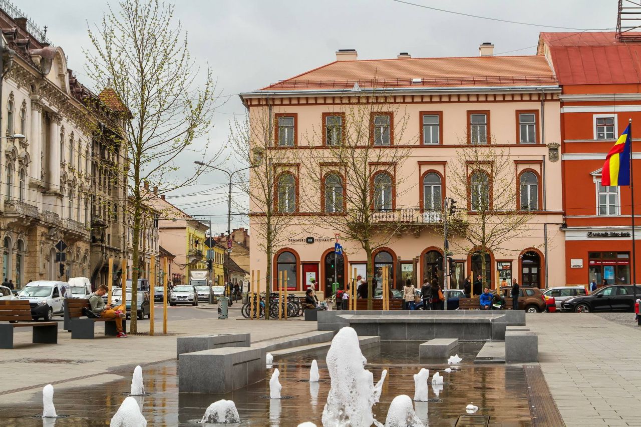 Tei și platani, plantați în centrul Clujului. Foto: Emil Boc (pagina oficială)