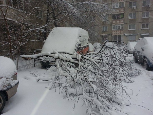 Trei mașini au fost avariate după ce au căzut copaci pe ele. Sursa foto: stirileprotv.ro