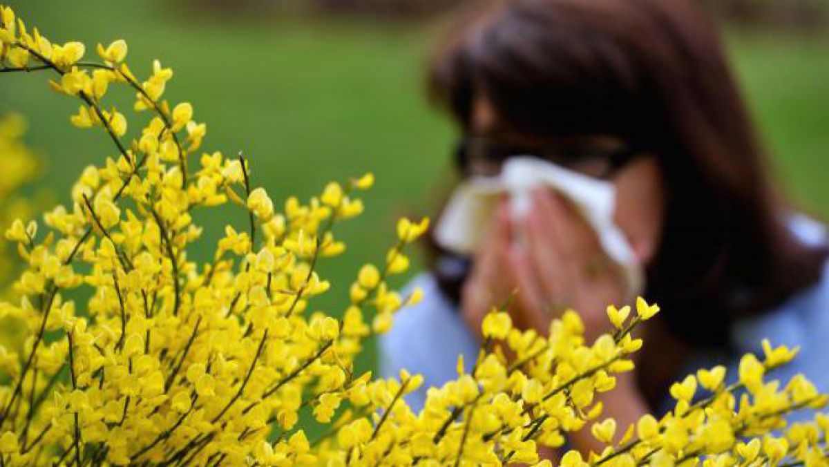 Metode simple de prevenire a simptomelor alergiilor 