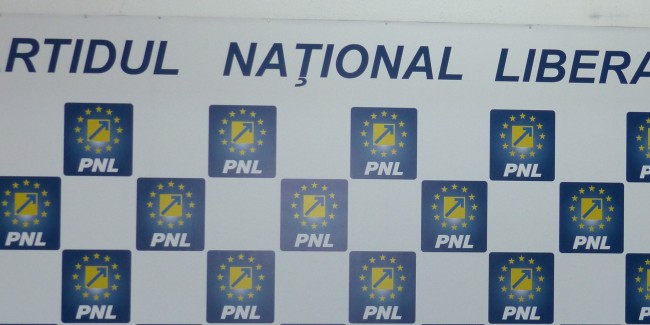 A doua zi de alegeri în PNL. Liberalii îşi aleg vicepreşedinţii. 