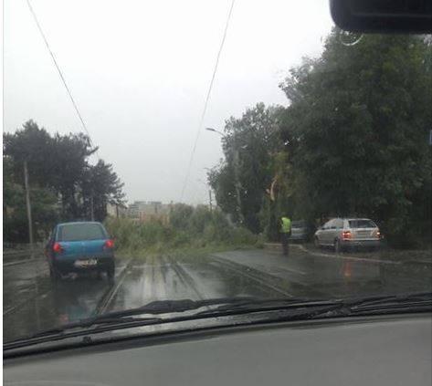 drumuri blocate din cauza furtunii, sursă foto: infotrafic.ro