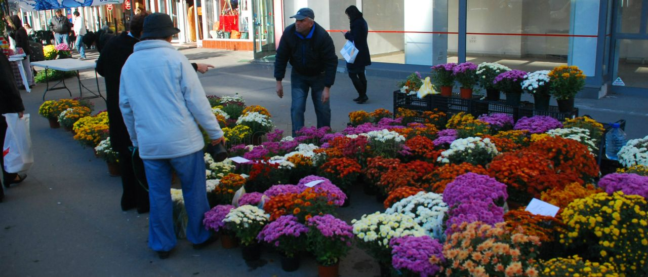 De unde puteţi cumpăra flori şi lumânări cu ocazia zilei de 1 noiembrie