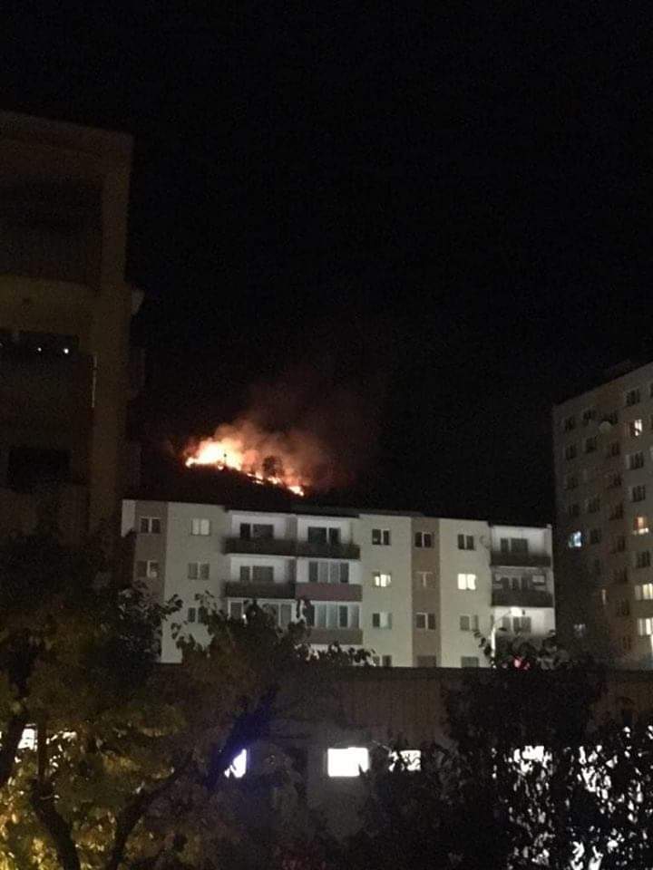Incendiu de padure in Hoia. Foto: Radio Cluj