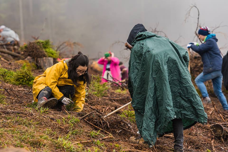 Membrii MOX și voluntari au plantat puieți la Valea Drăganului