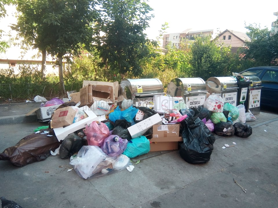 Eșecul colectării selective poate duce la o „mini-criză” a gunoaielor în Cluj-Napoca: „Am început procesele verbale de constatare pentru rezilierea contractelor!”