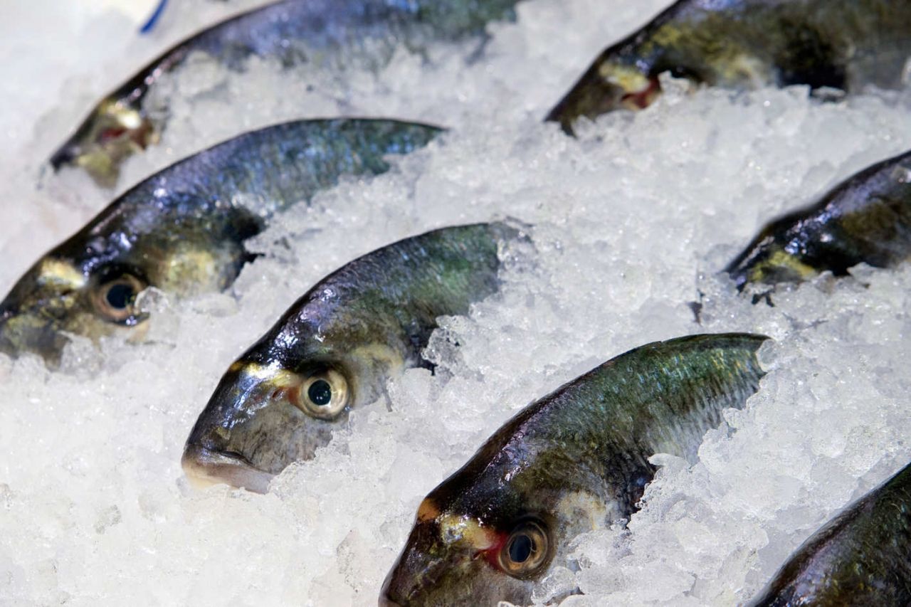 Raioanele de produse congelate din pește de la Selgros ar putea fi închise. Nu respectă standardele!