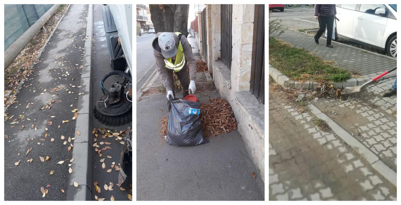 Șulea se laudă cu igienizarea de toamnă și pune vina pe localnici pentru lipsa coșurilor de gunoi, sursă foto: colaj Facebook Horia Șulea