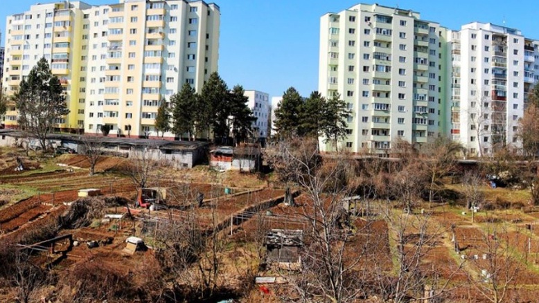 Revine grădinăritul „la bloc” în Cluj-Napoca? , sursă foto: Facebook Adrian Dohotaru