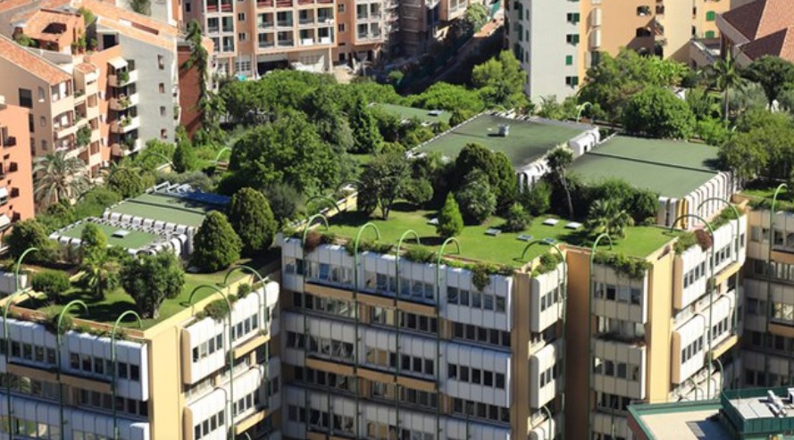 Acoperișuri verzi în Cluj? Blocurile comuniste, supuse „renovării ecologice”, ar deveni grădini, sursă foto: Bugetare participativă 2019
