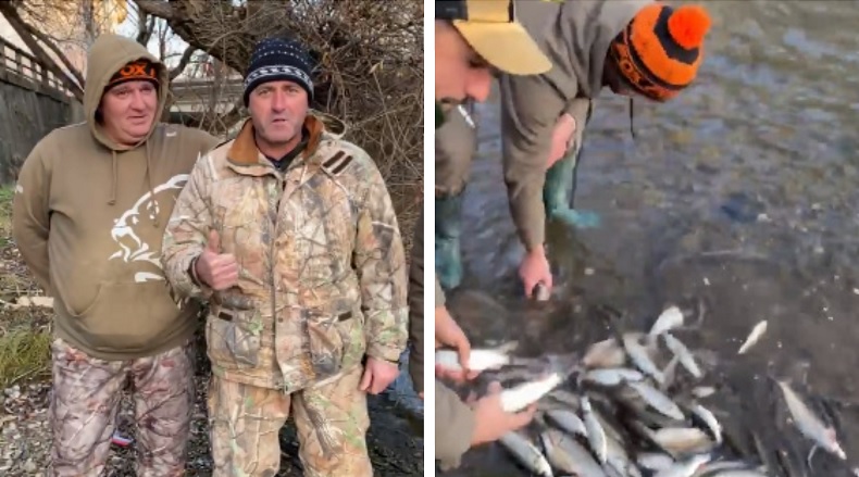 Pescarii clujeni au debutat în noul an cu eliberarea a sute de pești în Someșul Mic, sursă foto: captură video Facebook Claudiu Moldovan