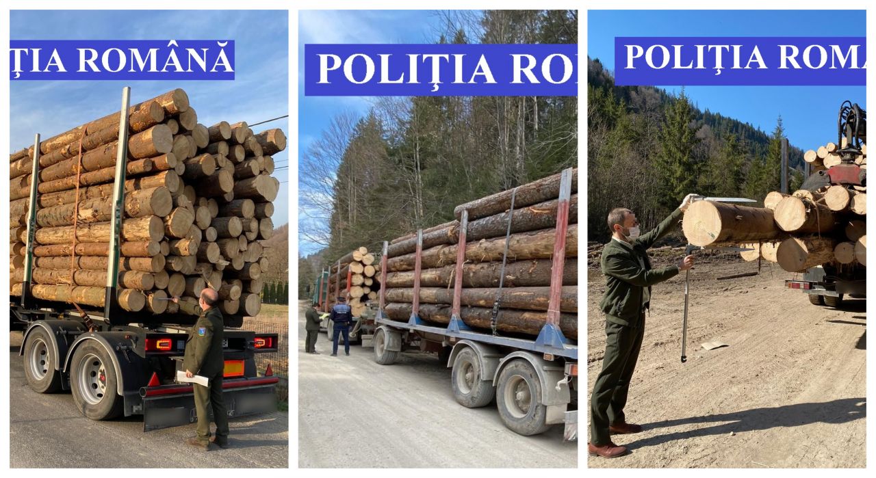 „Aerul” Clujului, încărcat în camioane. Polițiștii au verificat zeci de transporturi de lemne, sursă foto: IPJ Cluj