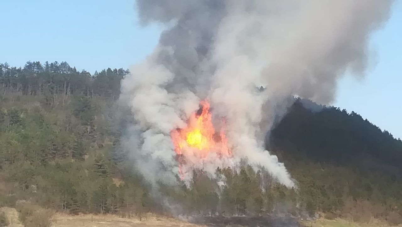 Incendiu de pădure lângă Nădășelu. Intervenția a durat aproape 10 ore