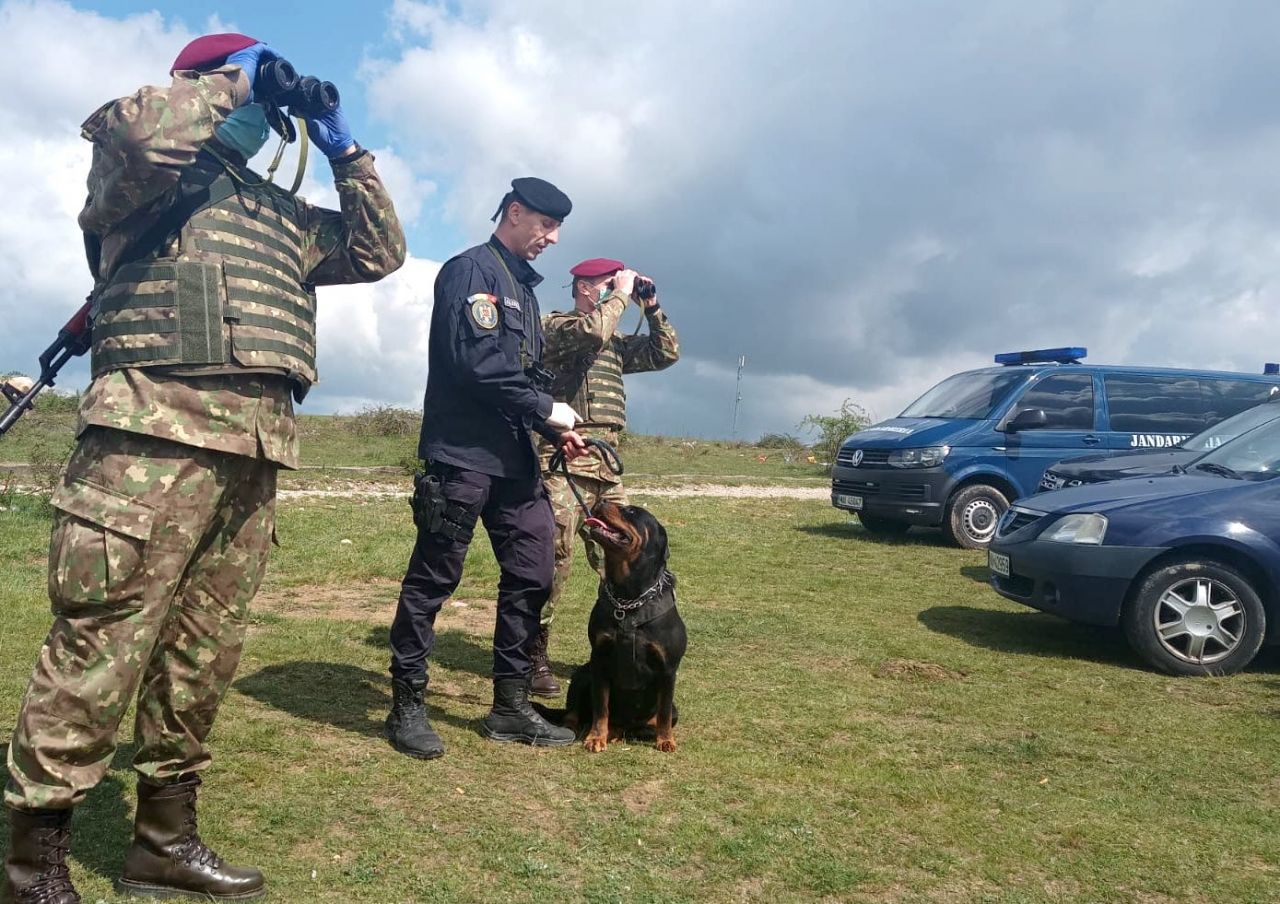 Colonia de rromi dintr-un sat de lângă Cluj, pusă sub carantină, este păzită de militari cu câini