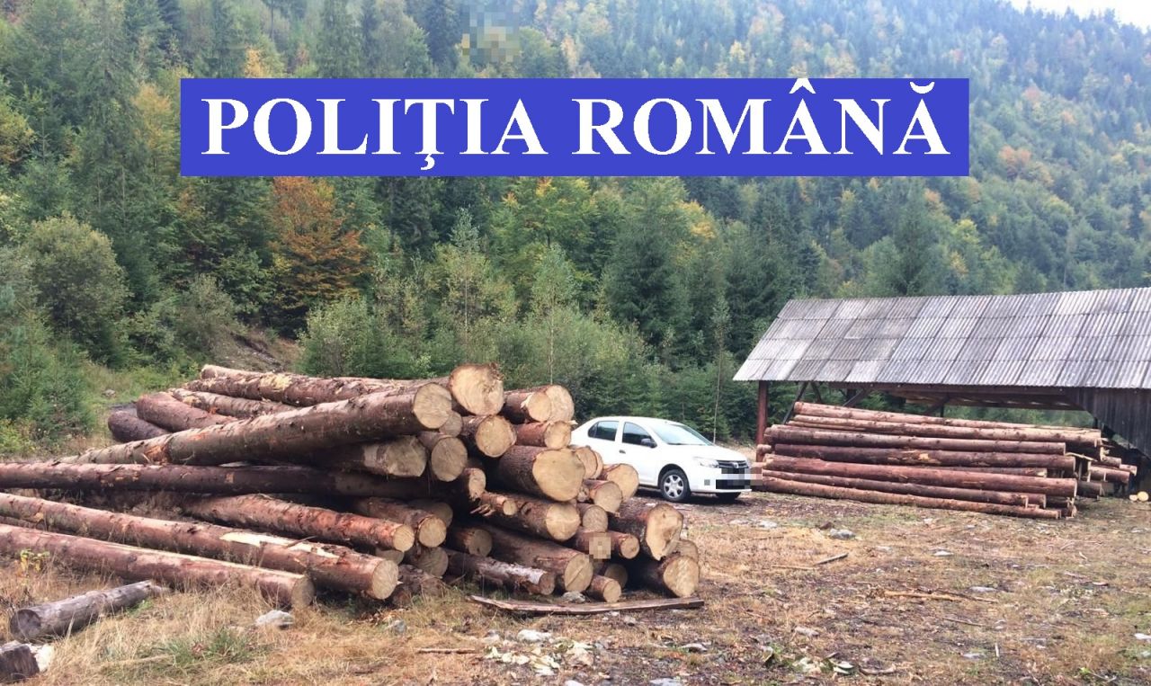 Amenzi de peste 70.000 lei, lemne confiscate după o razie a polițiștilor în județul Cluj, sursă foto: IPJ Cluj