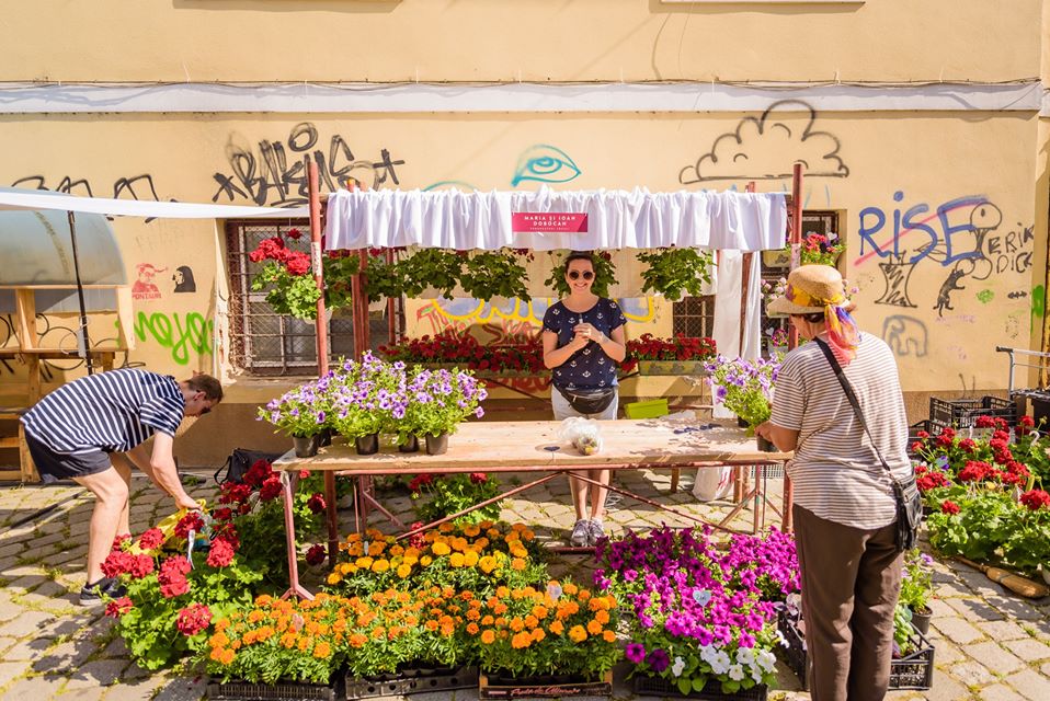 Potaissa - Piața de Flori