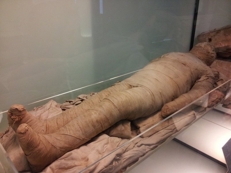 O mumie din Egipt antic în PREMIERĂ la Cluj!
