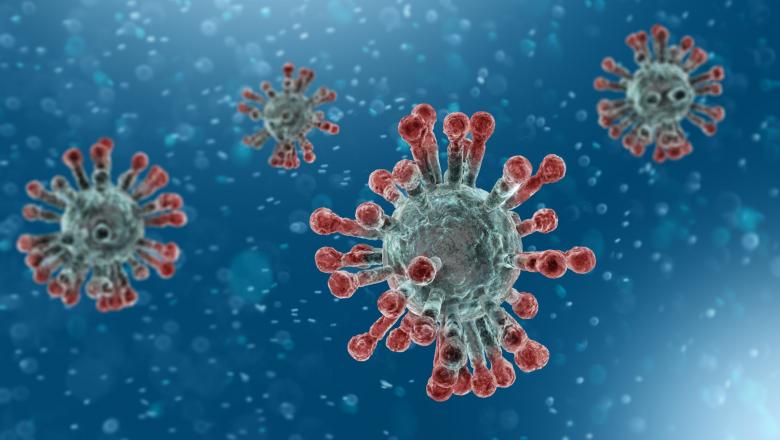 26 de cazuri noi de coronavirus în ultimele 24 de ore la Cluj