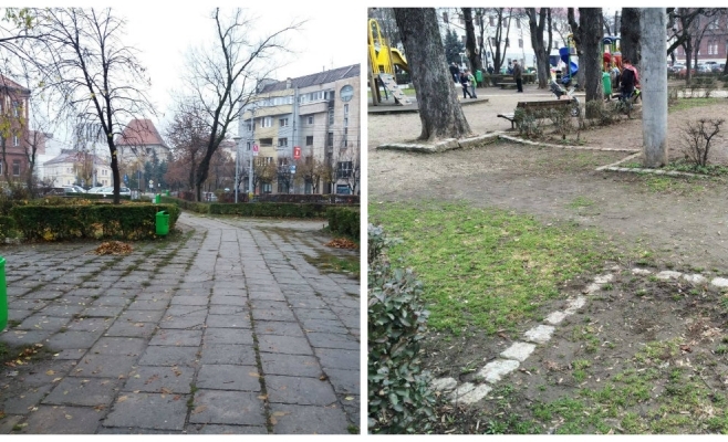 Petiție online împotriva tăierii copacilor din Piața Ștefan cel Mare