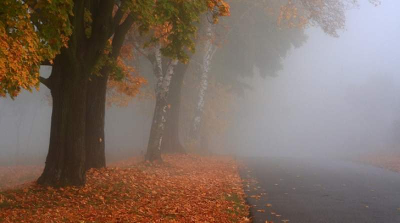 METEO: COD GALBEN de ceață la Cluj