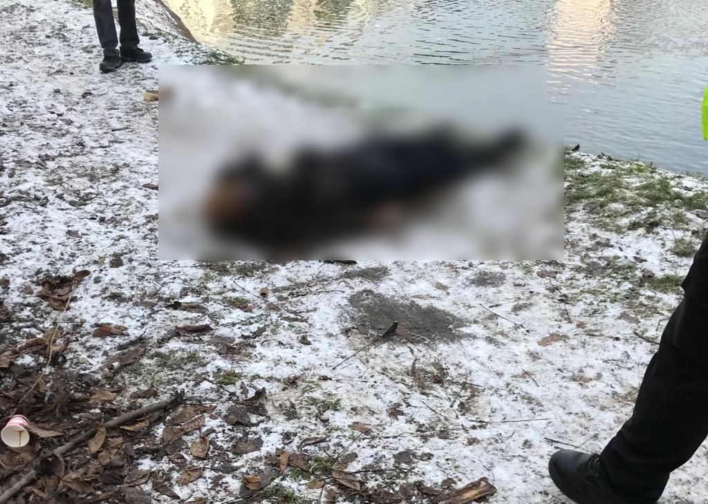 Un bărbat a fost găsit MORT pe malul râului Someș