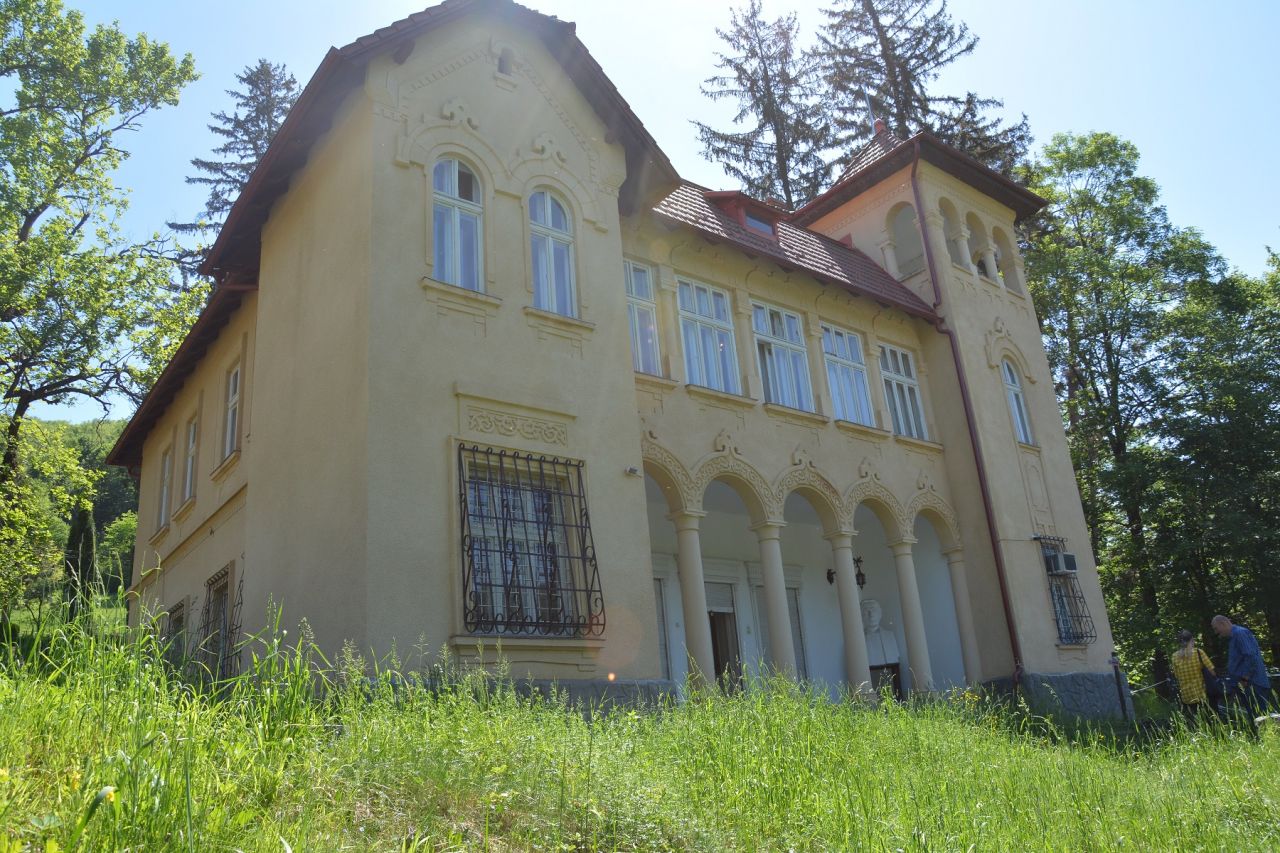Decizie DEFINITIVĂ a instanței: Castelul și domeniul lui Octavian Goga de la Ciucea rămân în proprietatea Consiliului Județean Cluj