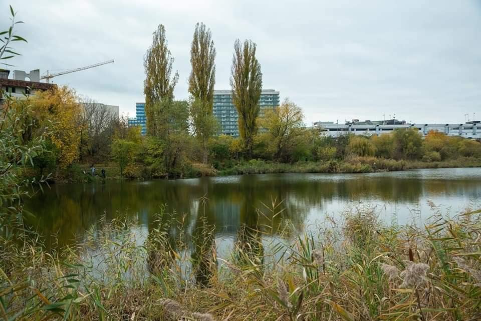 Concurență mare pe amenajarea Parcului Est. 27 de proiecte propuse pentru cel mai mare parc din Cluj