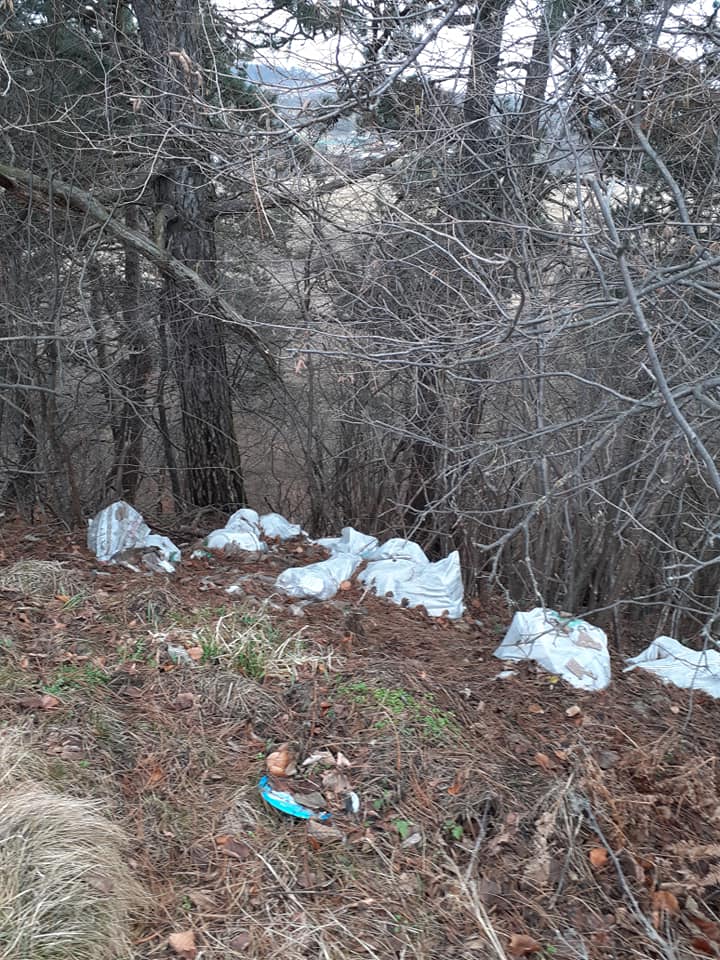 Plin de deșeuri în pădurea din Feleacu! Saci de gunoaie „abandonați” în natură