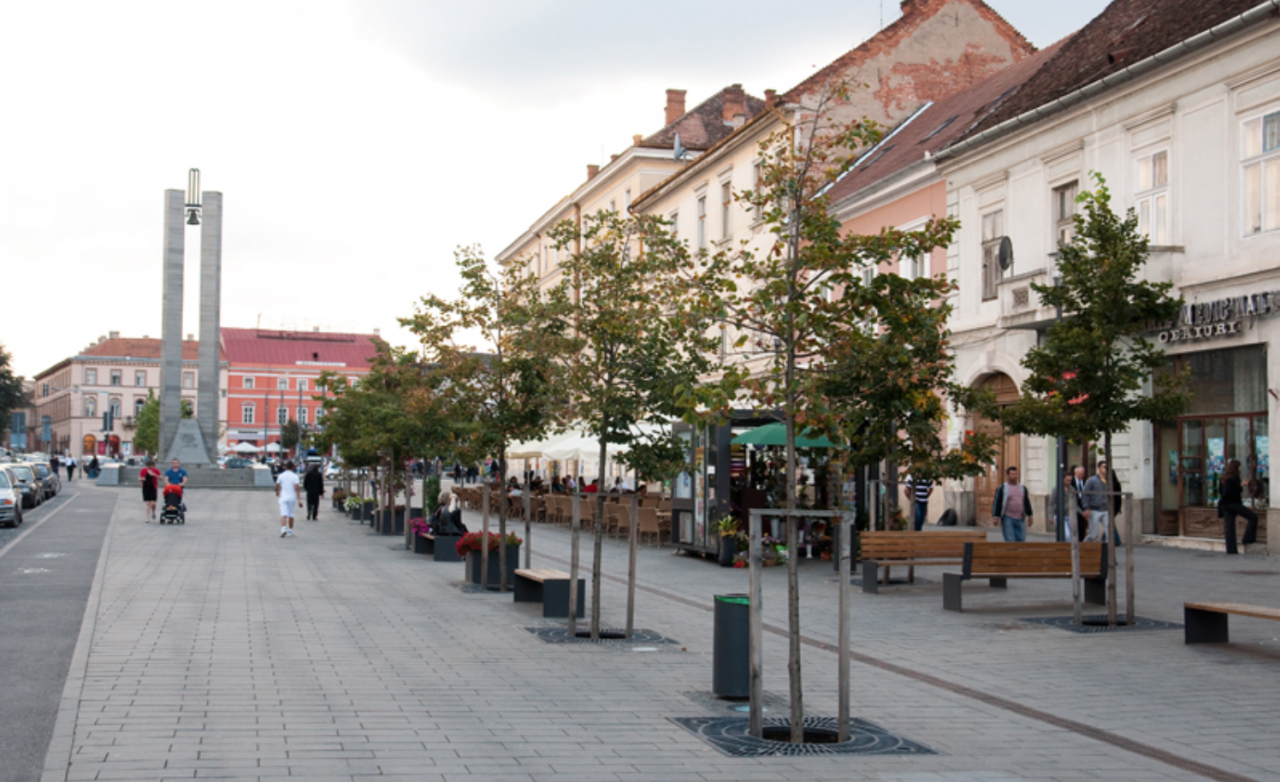 O hoață bătrână, dată în urmărire națională, a fost depistată pe străzile din Cluj-Napoca