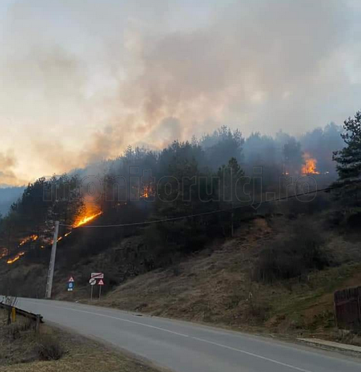 Incendiu de vegetație la Băișoara