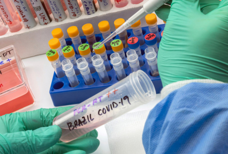 Au fost confirmate primele două cazuri de infectare cu tulpina braziliană a SARS-CoV-2