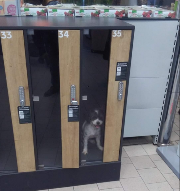 FOTO. Câine, ÎNCHIS în dulapul de bagaje într-un supermarket