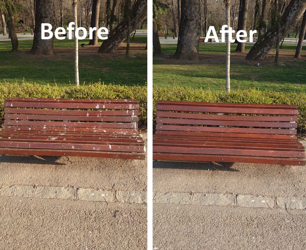Un clujean a curățat o bancă din Parcul Central, plină de fecale de păsări