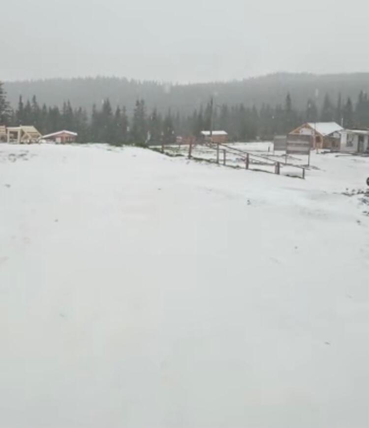 VIDEO. Ninge la Buscat în ultima zi din mai