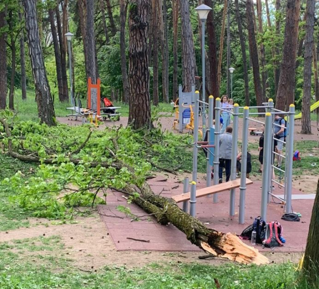 Copilul rănit de un copac într-un parc din Cluj, dus la spital după 40 de MINUTE! De ce a întârziat atât de mult ambulanța?