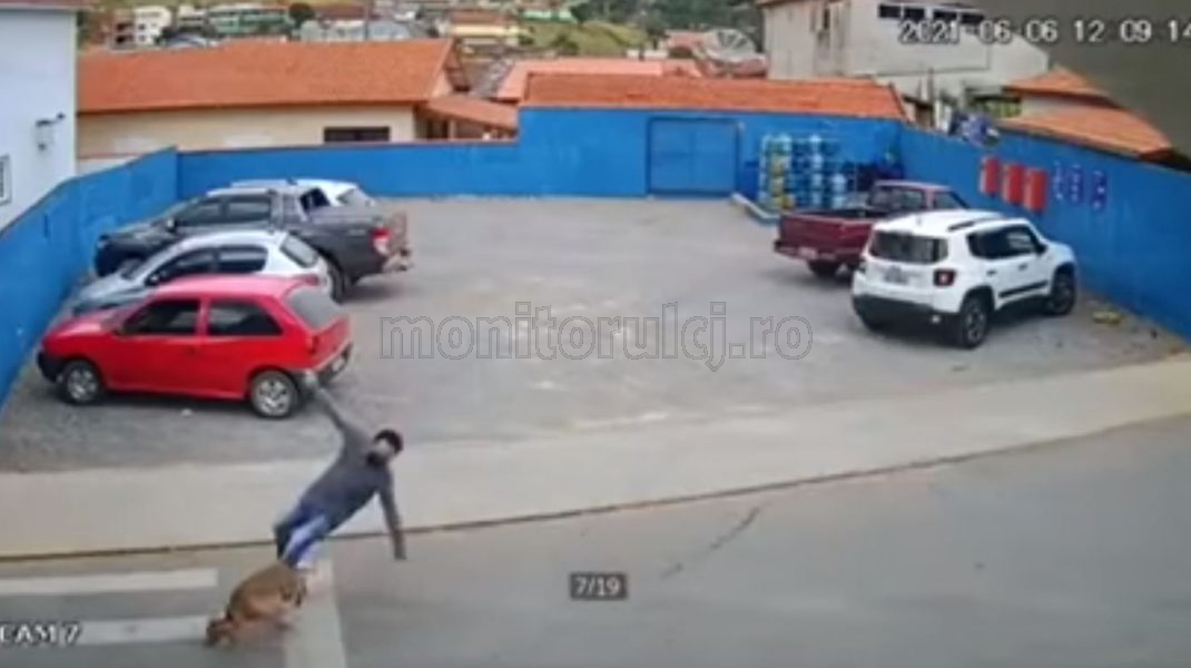 VIDEO VIRAL. Un CÂINE a lovit un BĂRBAT pe trecerea de PIETONI