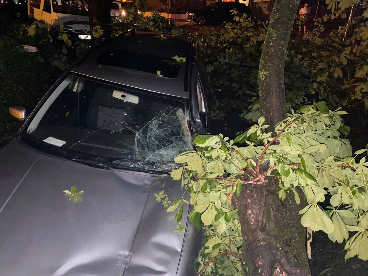 FOTO. Mașină DISTRUSĂ de un copac căzut, pe o stradă din Cluj-Napoca.