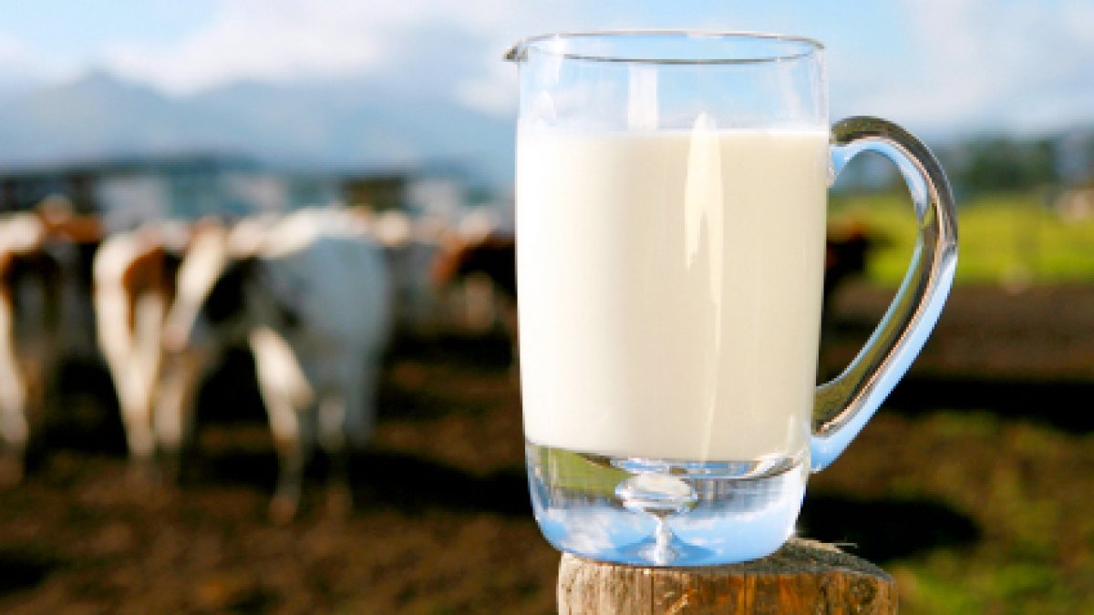 Lapte toxic: adevărul despre consumul de lapte