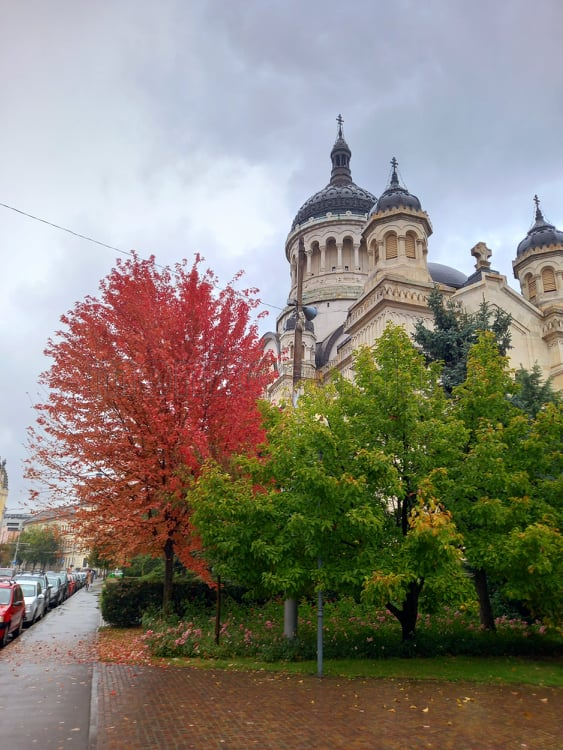 FOTO. Toamna a transformat orașul Cluj într-o operă de artă