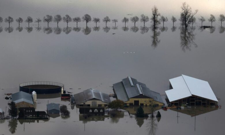 Inundații record în vestul Canadei / Sursa foto: oncenoticias.digital