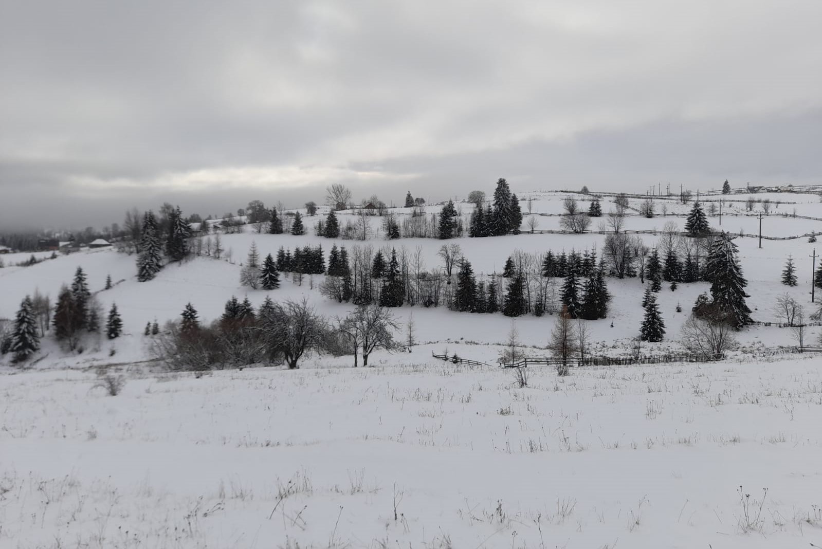 Cum va fi vremea de Crăciun în Transilvania? Prognoza meteo pe două săptămâni