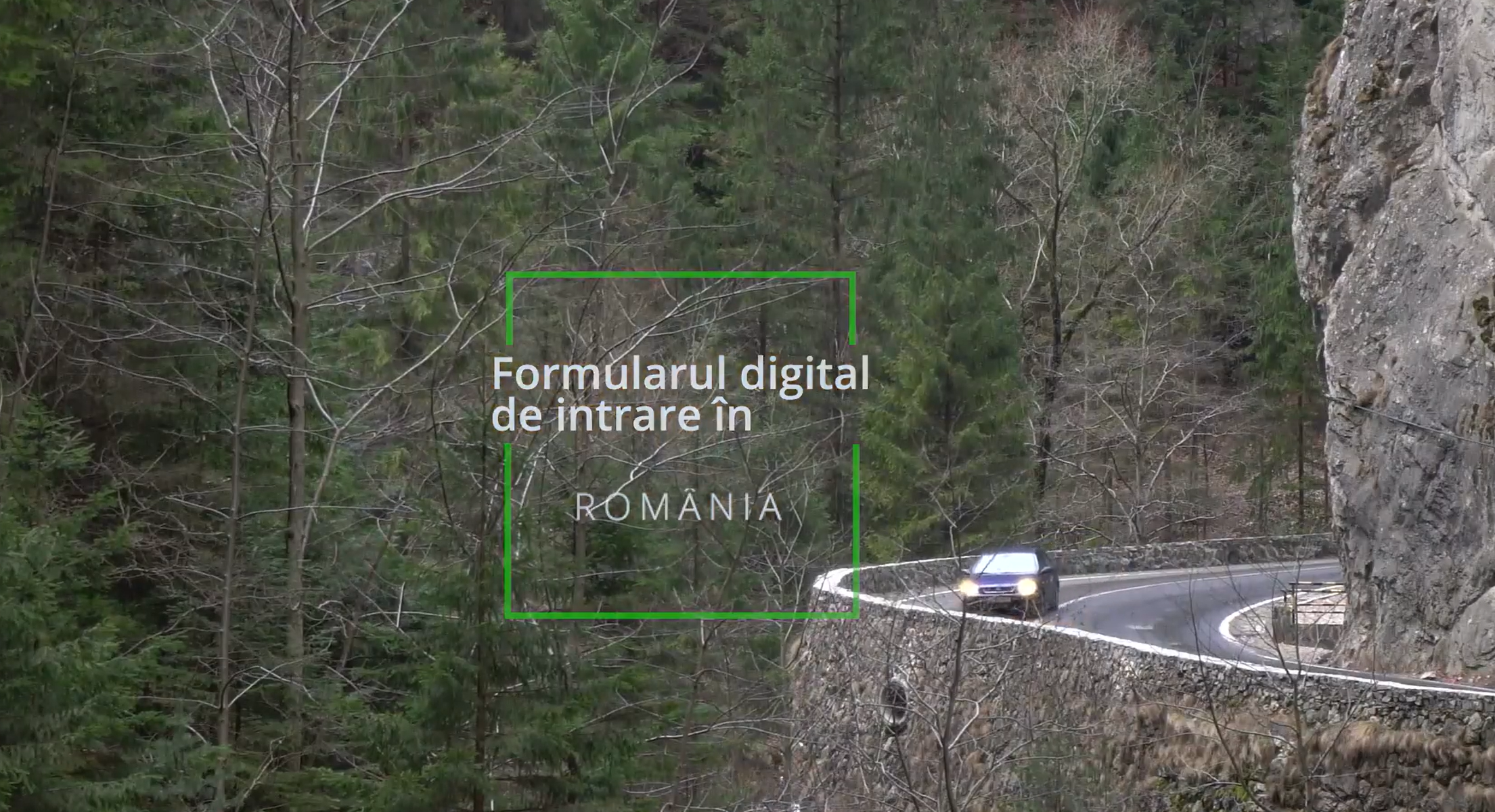 Cum poți completa Formularul digital de intrare în România, obligatoriu din 20 decembrie? Explicații VIDEO pas cu pas