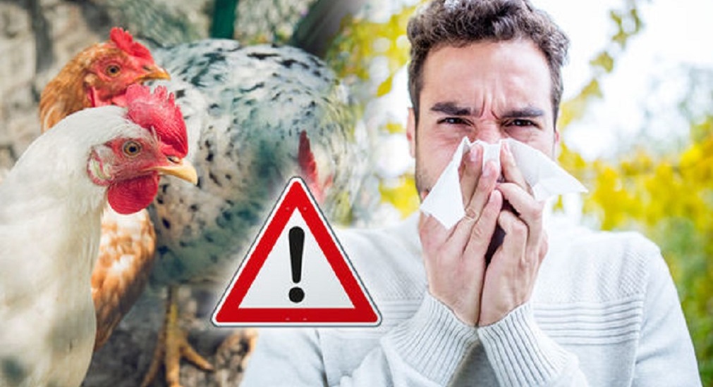 Focar de gripă aviară transmisibilă la om în Ungaria, la granița cu România. Localități din Bihor, în „zona de supraveghere “