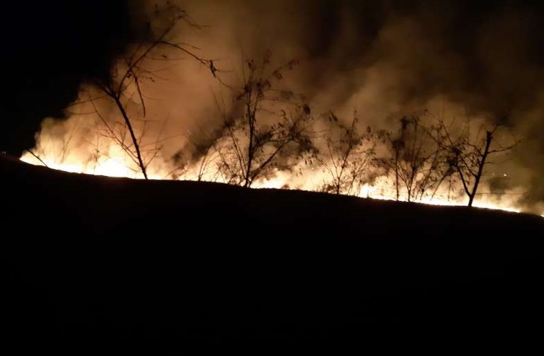Peste 70 de pompieri au intervenit la 8 incendii. Flăcările s-au extins pe 70 de hectare de vegetație în Botoșani